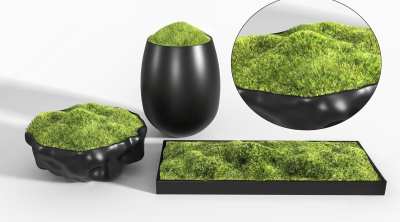 现代苔藓盆景3D模型下载